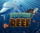 3 Tips to know about Dolphin Reef slot game