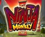Ninja Monkey Slot