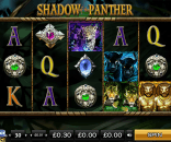 Shadow Of The Panther Video Slot